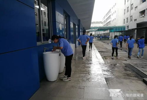 深圳月薪一萬五，活得像個笑話 燃氣灶售后維修記